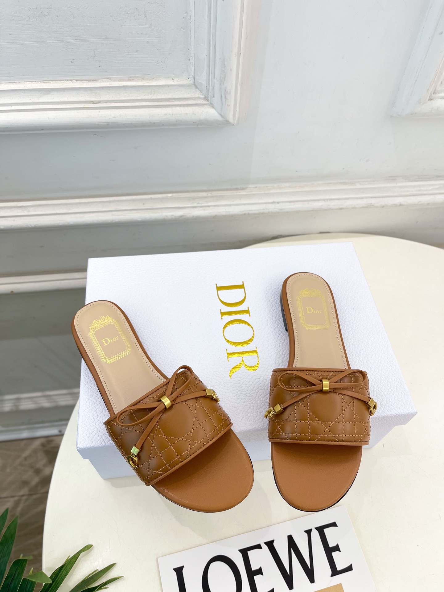 Dior |  迪奥  26𝐬𝐬 🧡💚2026春夏新品 顶级版本⚠️专柜主打新款 Dior Cannag