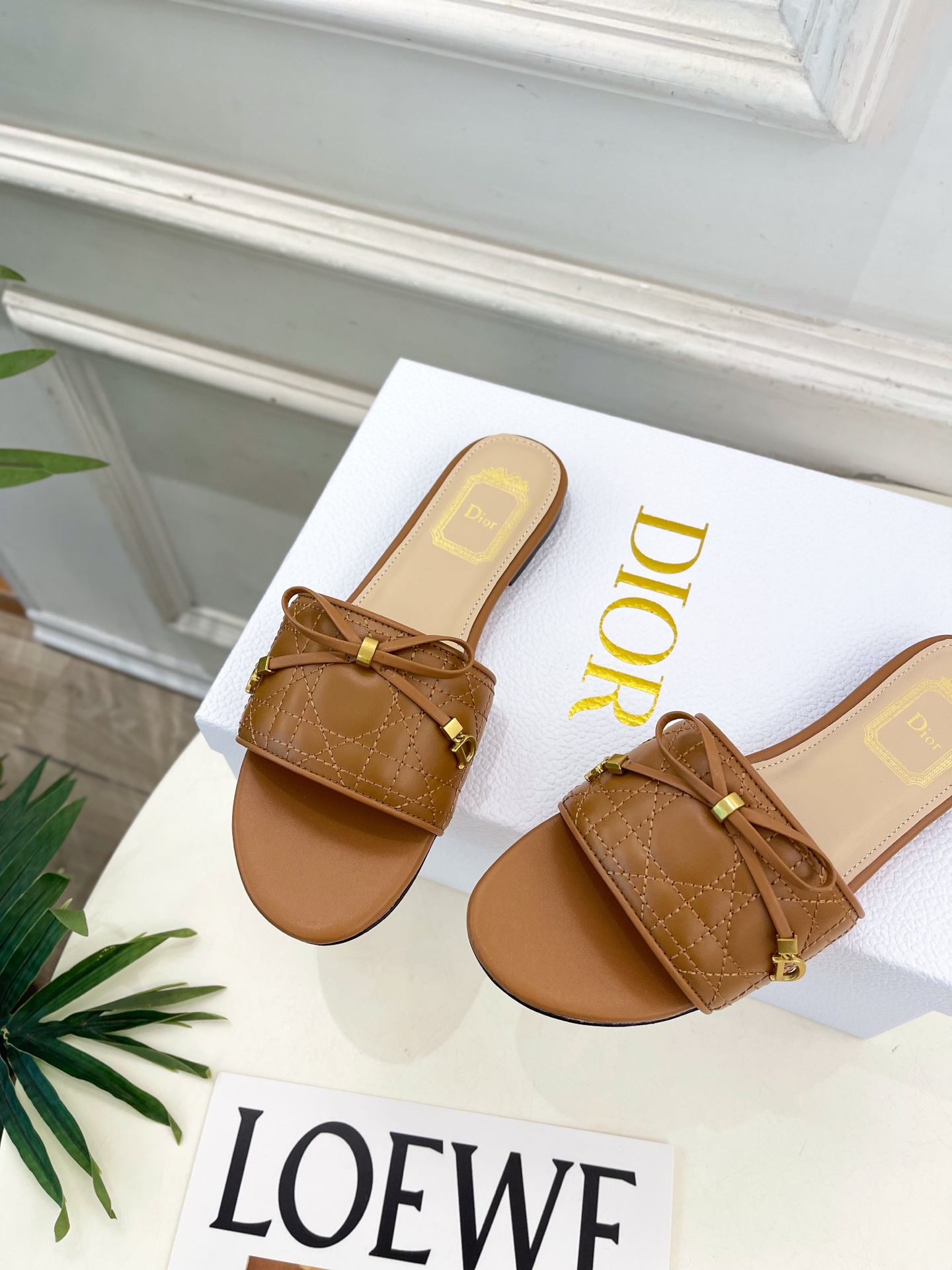 Dior |  迪奥  26𝐬𝐬 🧡💚2026春夏新品 顶级版本⚠️专柜主打新款 Dior Cannag