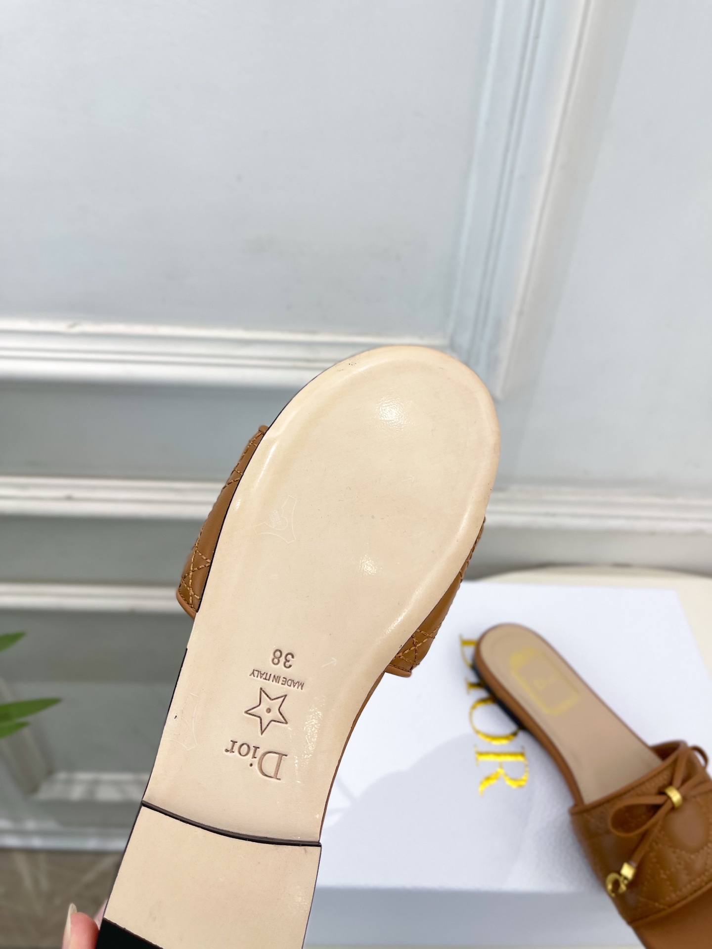 Dior |  迪奥  26𝐬𝐬 🧡💚2026春夏新品 顶级版本⚠️专柜主打新款 Dior Cannag