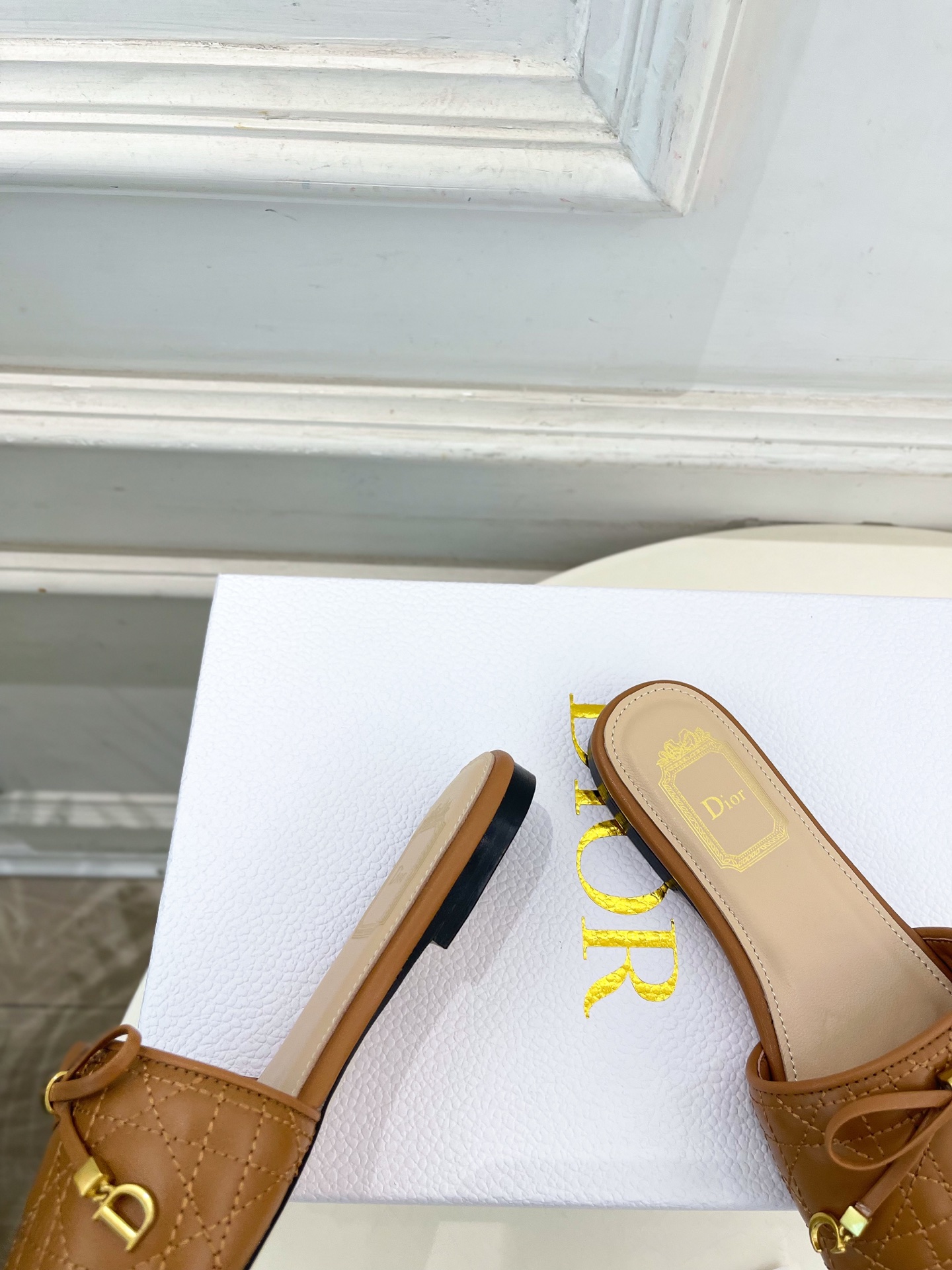 Dior |  迪奥  26𝐬𝐬 🧡💚2026春夏新品 顶级版本⚠️专柜主打新款 Dior Cannag