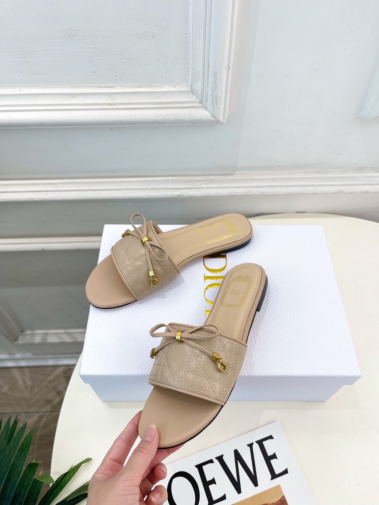 Dior |  迪奥  26𝐬𝐬 🧡💚2026春夏新品 顶级版本⚠️专柜主打新款 Dior Cannag
