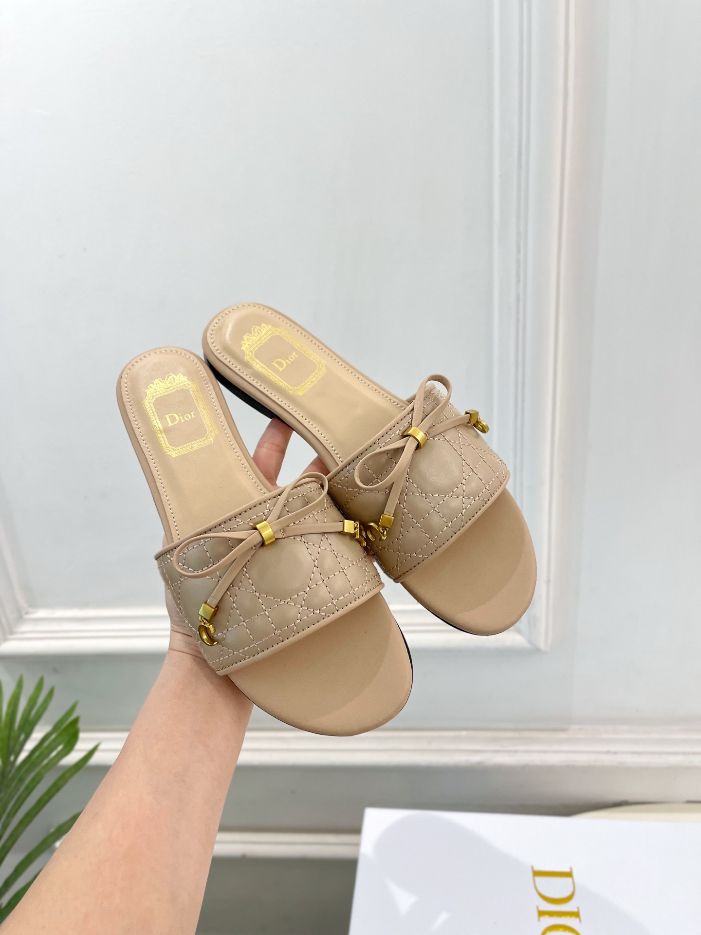 Dior |  迪奥  26𝐬𝐬 🧡💚2026春夏新品 顶级版本⚠️专柜主打新款 Dior Cannag