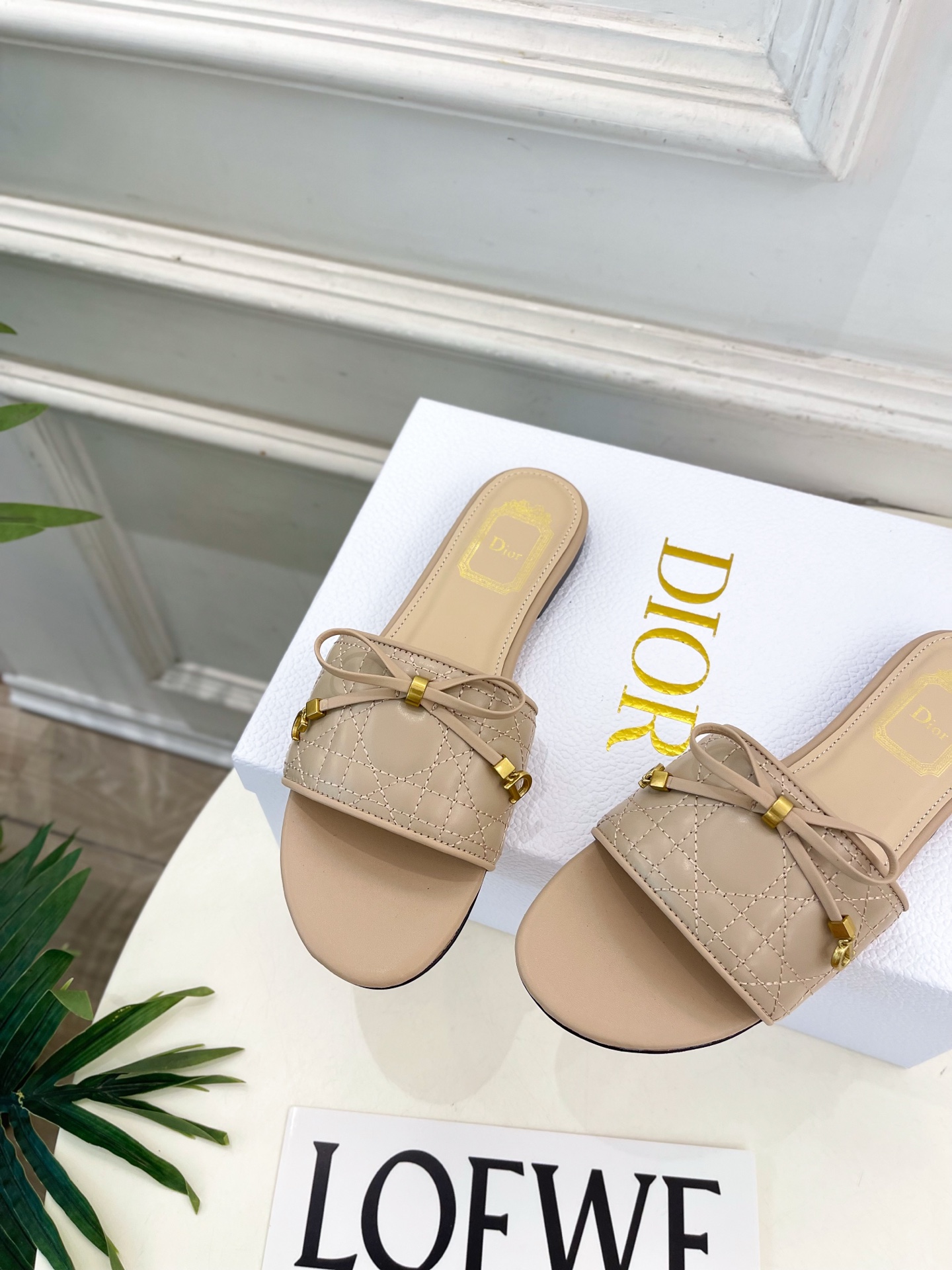 Dior |  迪奥  26𝐬𝐬 🧡💚2026春夏新品 顶级版本⚠️专柜主打新款 Dior Cannag