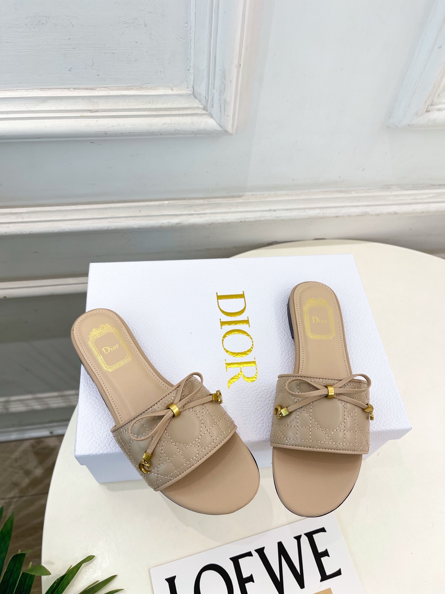 Dior |  迪奥  26𝐬𝐬 🧡💚2026春夏新品 顶级版本⚠️专柜主打新款 Dior Cannag