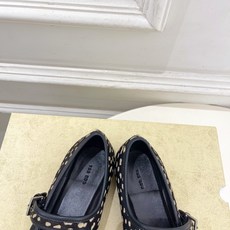 The row 2026春夏新品 TR极简扣带玛丽珍平底鞋—————————作为这两年最受欢迎的设计师牌 The row 2026春夏新品 TR极简扣带玛丽珍平底鞋—————————作为这两年最受欢迎的设计师牌