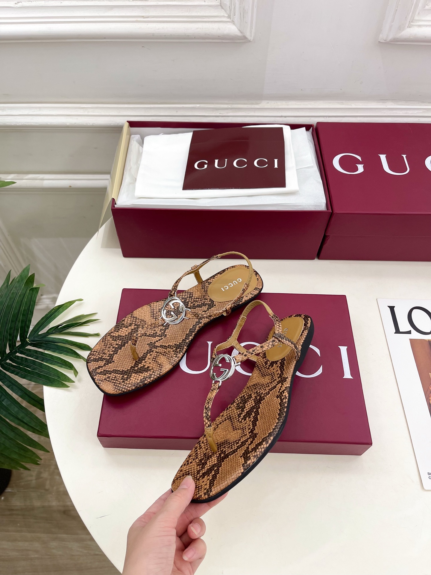 Gucci |  古驰  26𝐬𝐬 ⭐️ G家 主打系列终于面世，狠货值得期待！原有的经典 创造新设计 