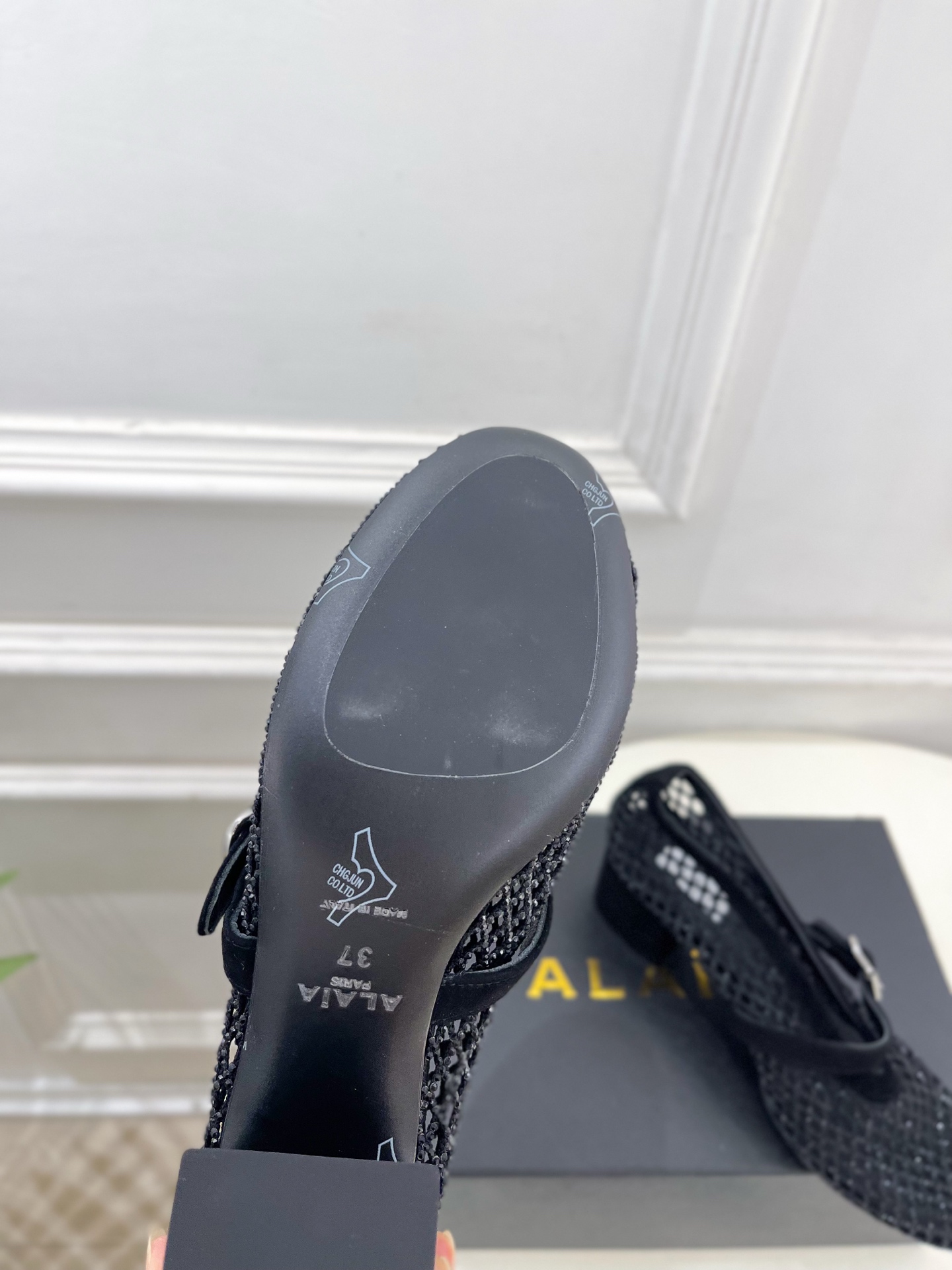 Designer Mary Jane Shoes
