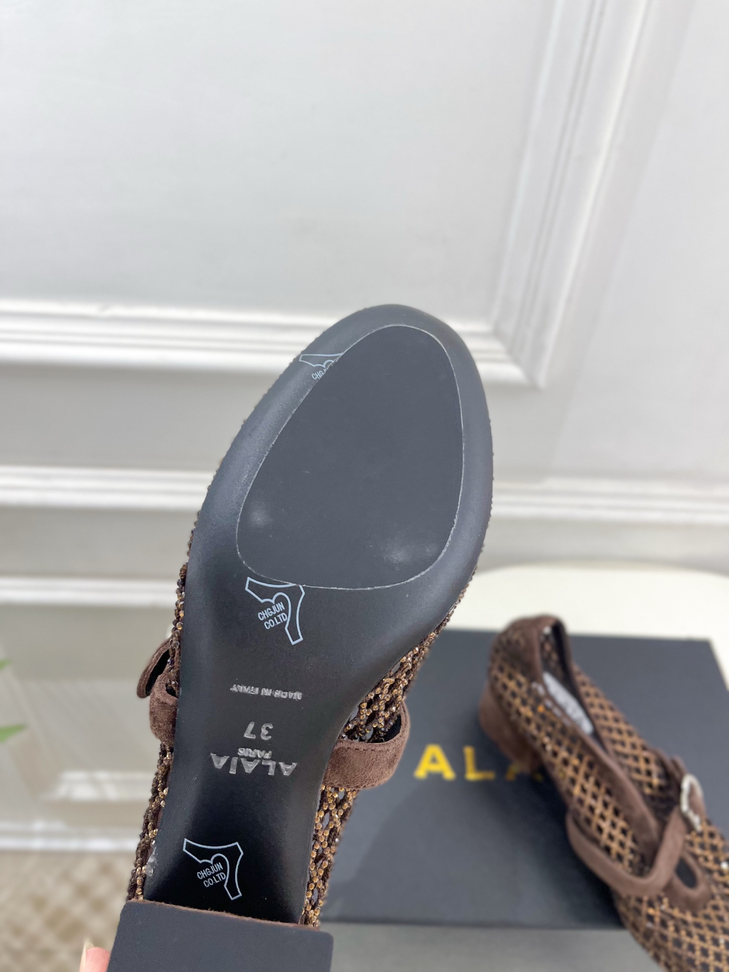 Designer Mary Jane Shoes