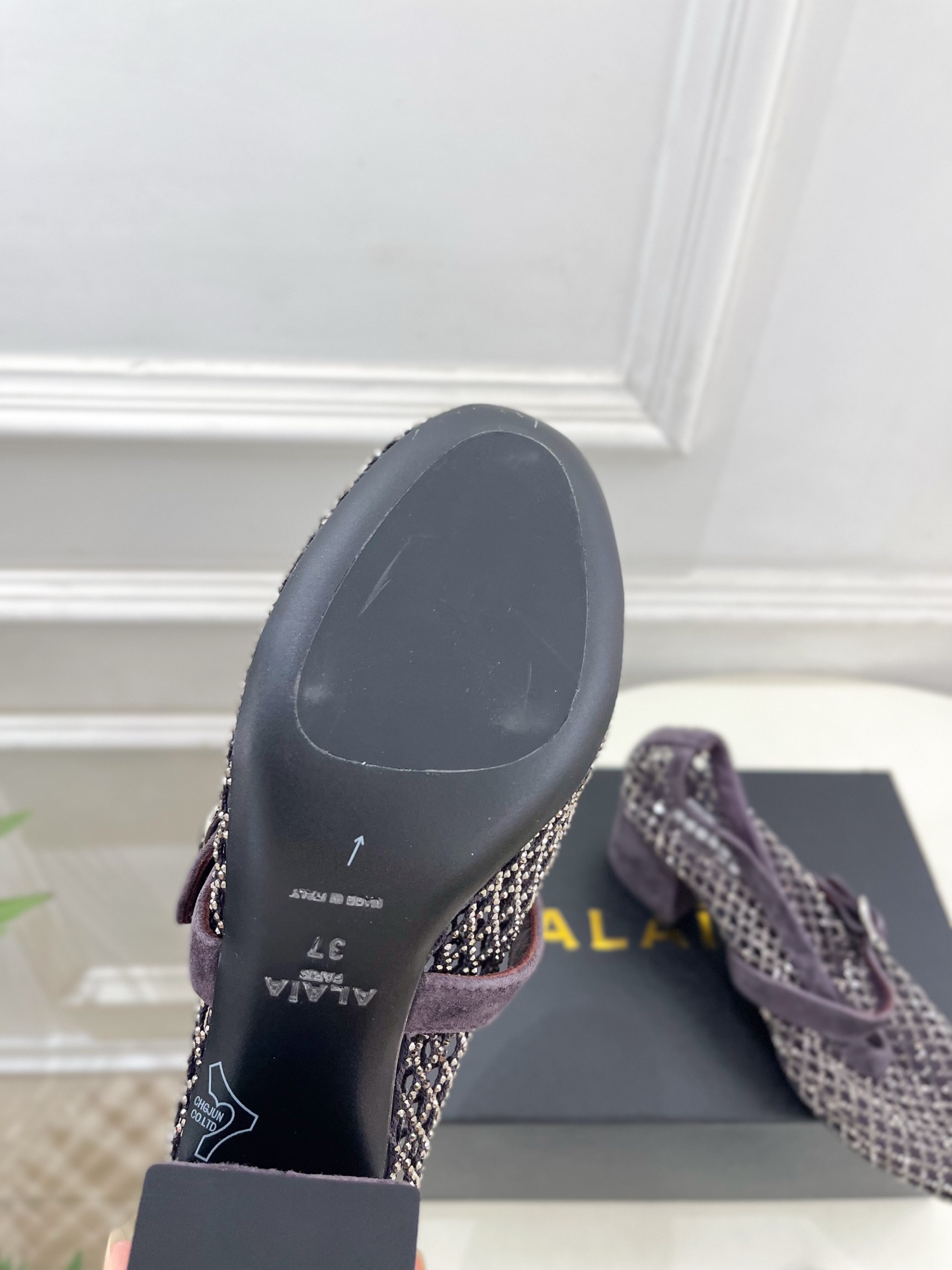 Designer Mary Jane Shoes