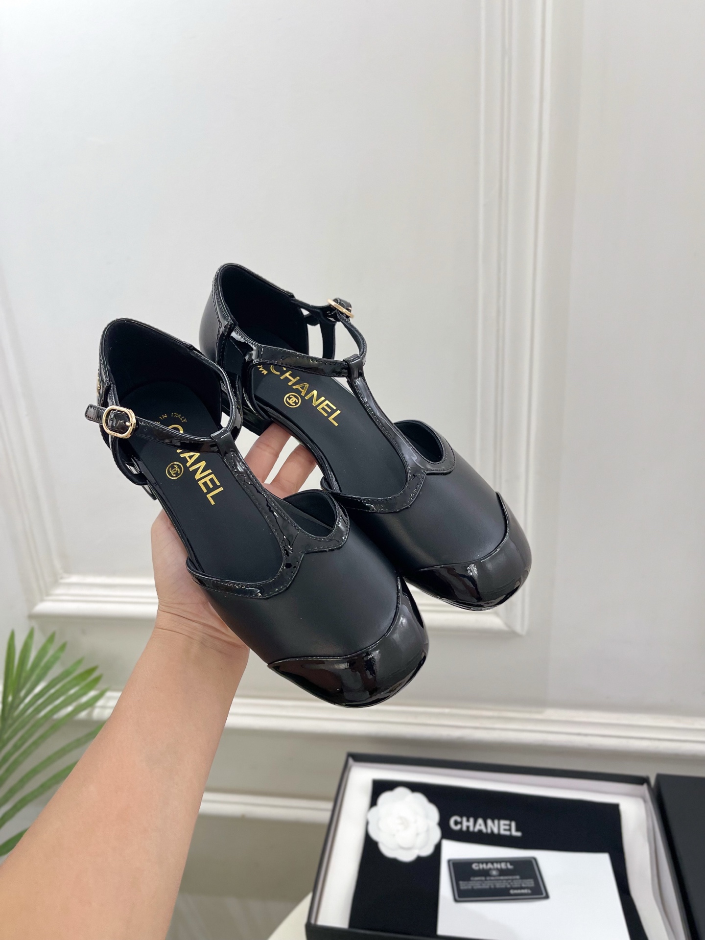 𝐂𝐇𝐀𝐍𝐄𝐋 | 小香 26𝐬𝐬 🦋2026 春夏新品 专柜经典走秀款 小香双C拼色T字带中空平底凉鞋 系列上新 𝐂𝐇𝐀𝐍𝐄𝐋 | 小香 26𝐬𝐬 🦋2026 春夏新品 专柜经典走秀款 小香双C拼色T字带中空平底凉鞋 系列上新