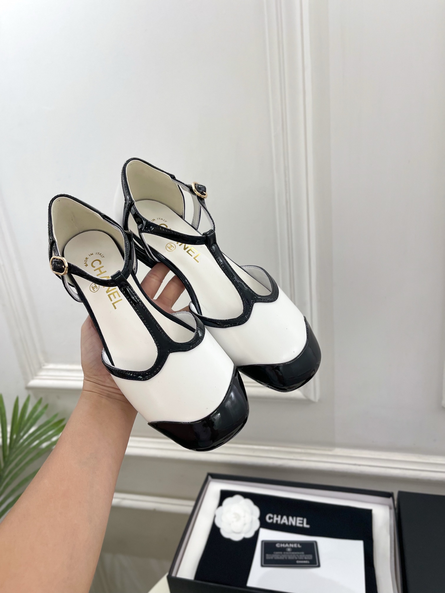 𝐂𝐇𝐀𝐍𝐄𝐋 | 小香 26𝐬𝐬 🦋2026 春夏新品 专柜经典走秀款 小香双C拼色T字带中空平底凉鞋 系列上新 𝐂𝐇𝐀𝐍𝐄𝐋 | 小香 26𝐬𝐬 🦋2026 春夏新品 专柜经典走秀款 小香双C拼色T字带中空平底凉鞋 系列上新