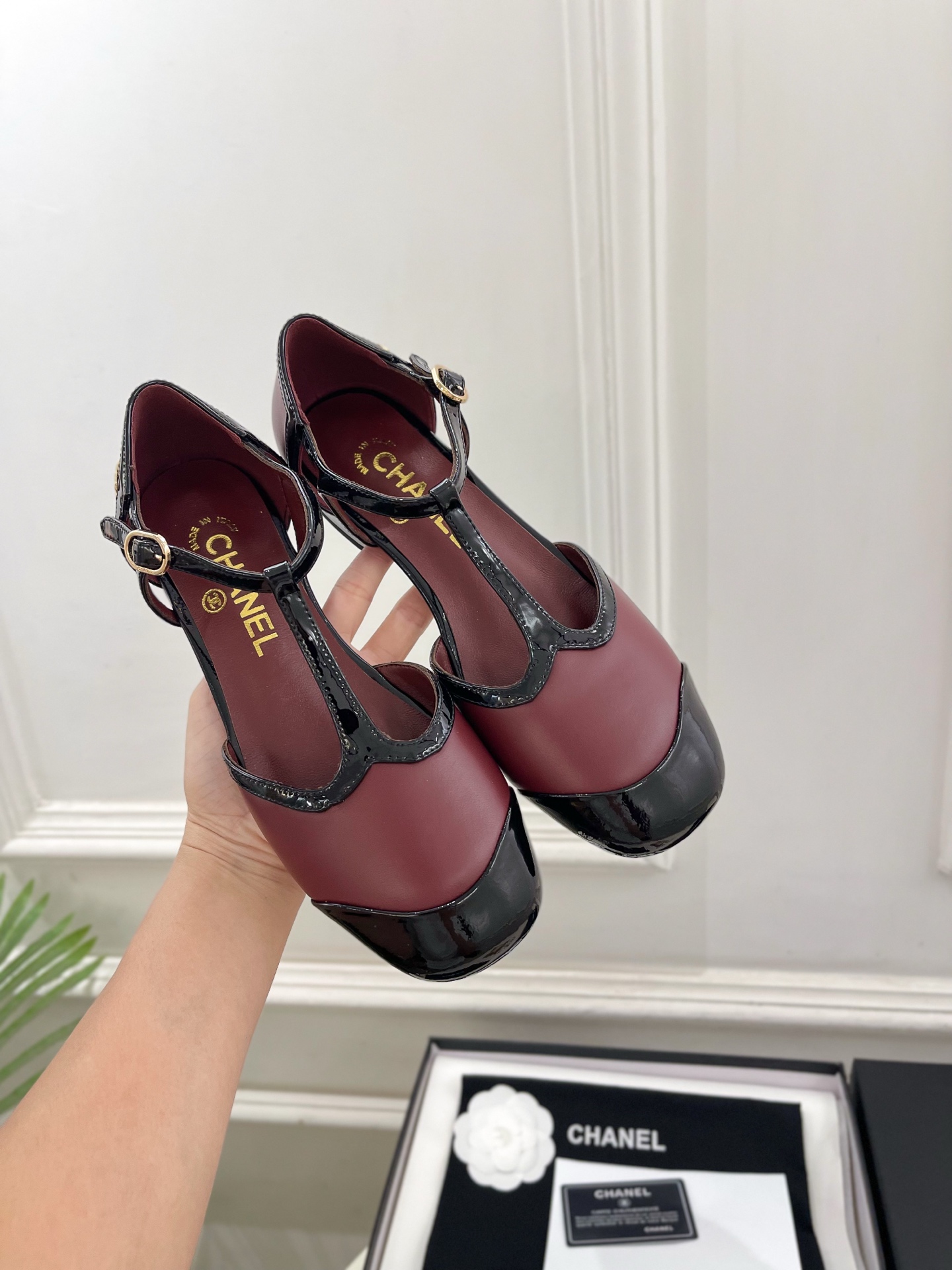 𝐂𝐇𝐀𝐍𝐄𝐋 | 小香 26𝐬𝐬 🦋2026 春夏新品 专柜经典走秀款 小香双C拼色T字带中空平底凉鞋 系列上新 𝐂𝐇𝐀𝐍𝐄𝐋 | 小香 26𝐬𝐬 🦋2026 春夏新品 专柜经典走秀款 小香双C拼色T字带中空平底凉鞋 系列上新