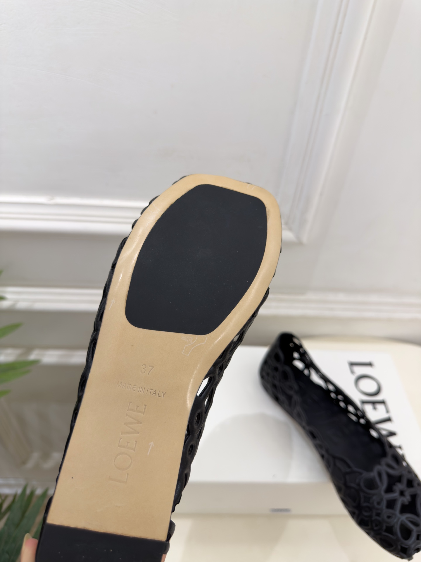 LOEWE 罗意威 2026秋冬新品 Petal Anagram 花瓣头形镂空芭蕾舞鞋 ————————— LOEWE作