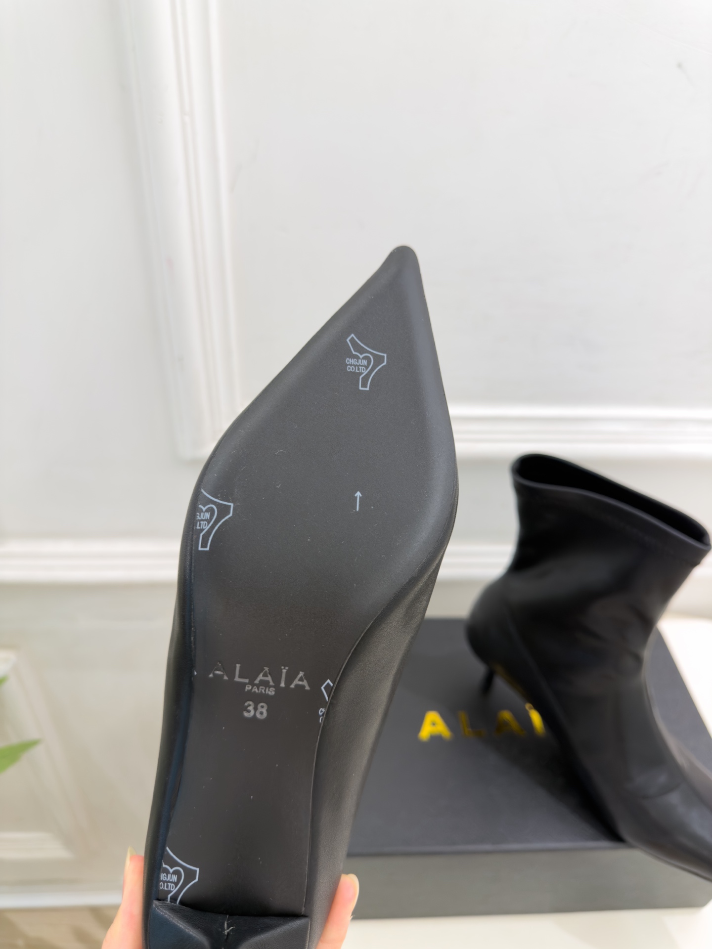 ALAÏA 阿莱亚26𝐬𝐬   2026秋冬新品 秀场同款 极简复古尖头小猫跟短靴 ————————— Alaïa作为这