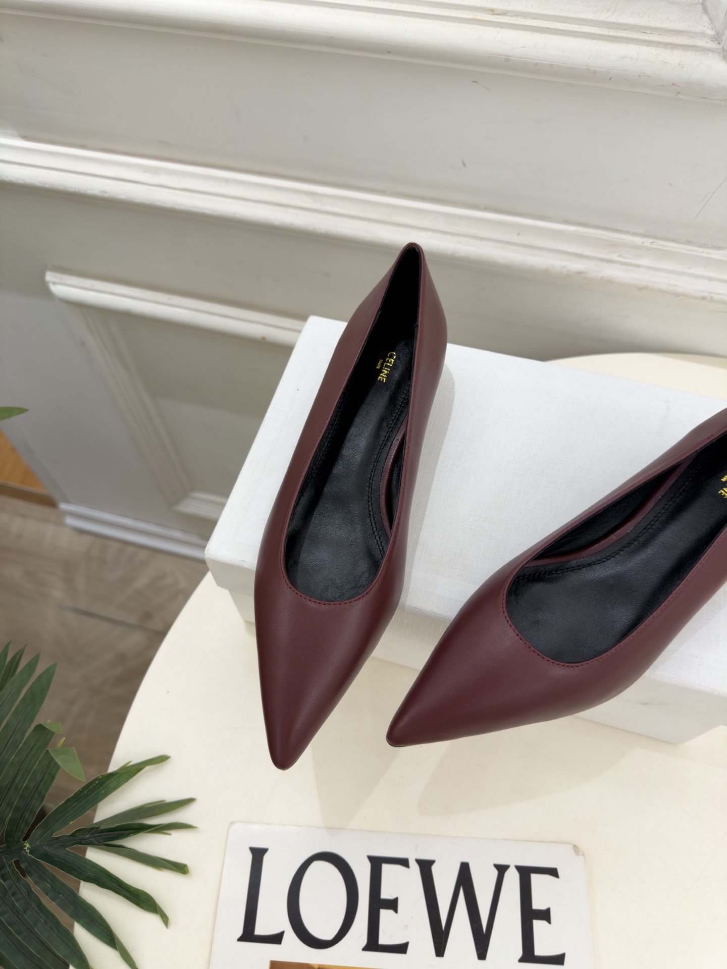 CELINE  | 赛琳  26𝐬𝐬  💛2026秋冬新品 极简尖头猫跟单鞋 上新！ 🔜BS 这一季的赛琳真的是开了挂、