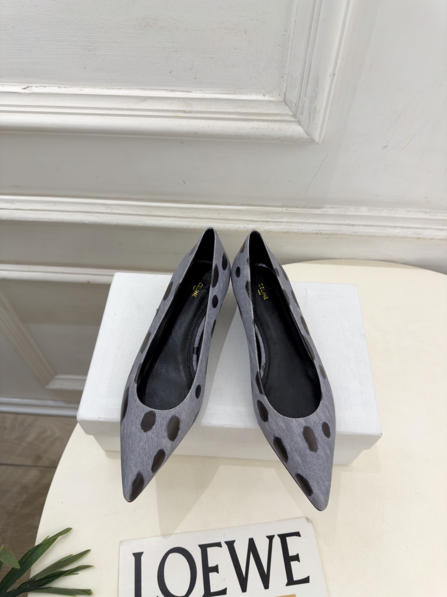 CELINE  | 赛琳  26𝐬𝐬  💛2026秋冬新品 极简尖头猫跟单鞋 上新！ 🔜BS 这一季的赛琳真的是开了挂、