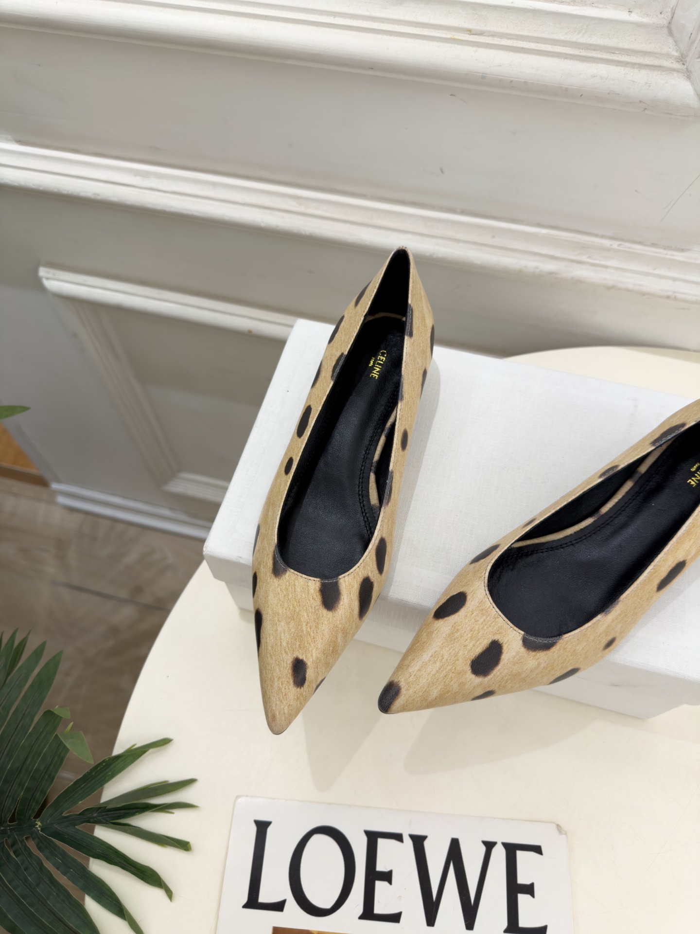 CELINE | 赛琳 26𝐬𝐬 💛2026秋冬新品 极简尖头猫跟单鞋 上新! 🔜BS 这一季的赛琳真的是开了挂、 CELINE | 赛琳 26𝐬𝐬 💛2026秋冬新品 极简尖头猫跟单鞋 上新! 🔜BS 这一季的赛琳真的是开了挂、