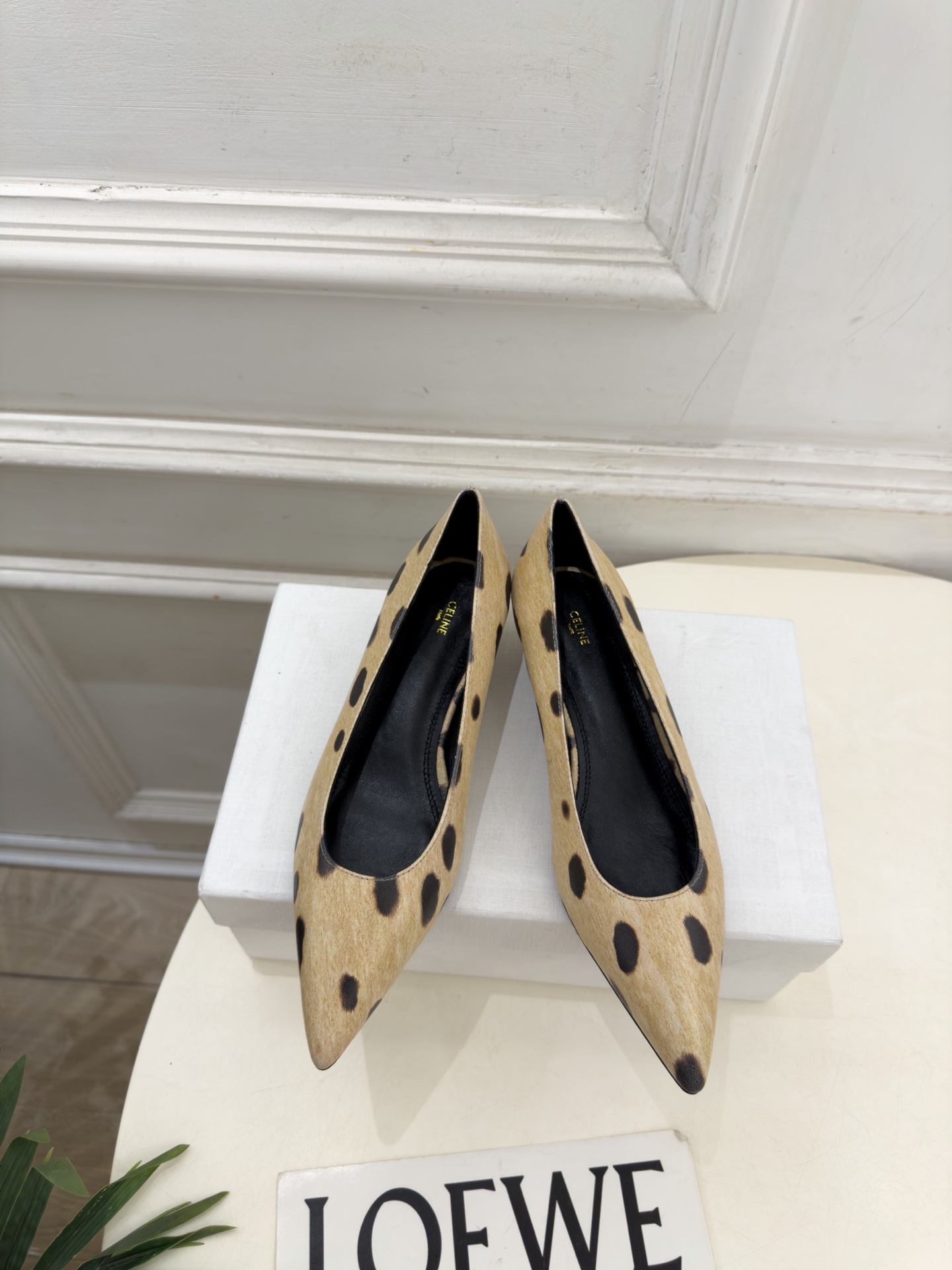 CELINE  | 赛琳  26𝐬𝐬  💛2026秋冬新品 极简尖头猫跟单鞋 上新！ 🔜BS 这一季的赛琳真的是开了挂、
