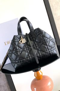 Vídeo de 37CM ​​Toma real del bolso grande Dior Toujours