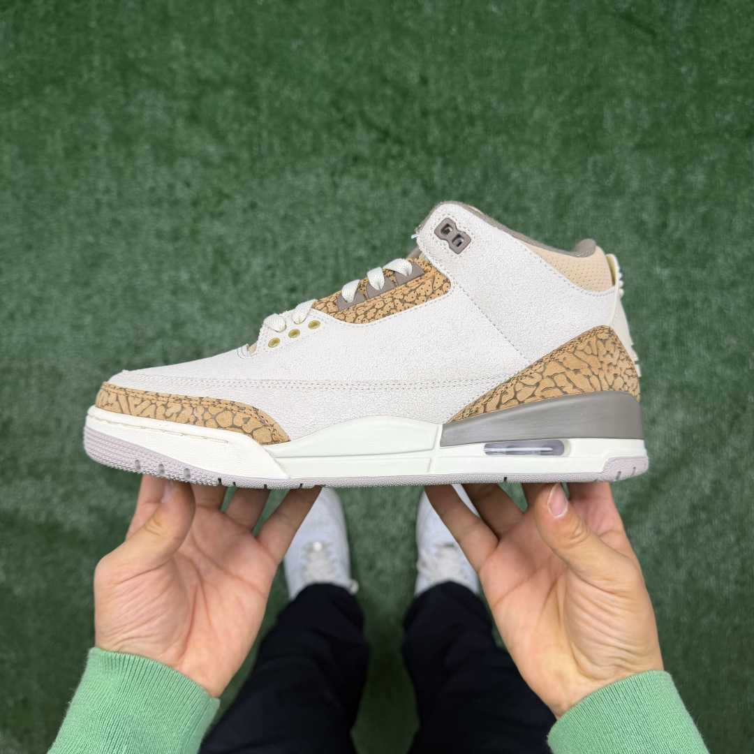 Air jordan 3 106