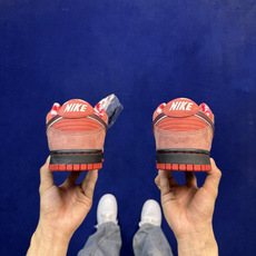 G版纯原 Nike dunkSB红龙虾🦞终端优势供应 细节满满 性价比十足 全套配件齐全 品质随意秒杀市 G版纯原 Nike dunkSB红龙虾🦞终端优势供应 细节满满 性价比十足 全套配件齐全 品质随意秒杀市