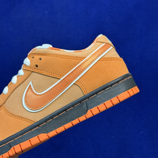 G版纯原 Nike dunkSB桔红龙虾🦞终端优势供应 细节满满 性价比十足 全套配件齐全 品质随意秒杀 G版纯原 Nike dunkSB桔红龙虾🦞终端优势供应 细节满满 性价比十足 全套配件齐全 品质随意秒杀