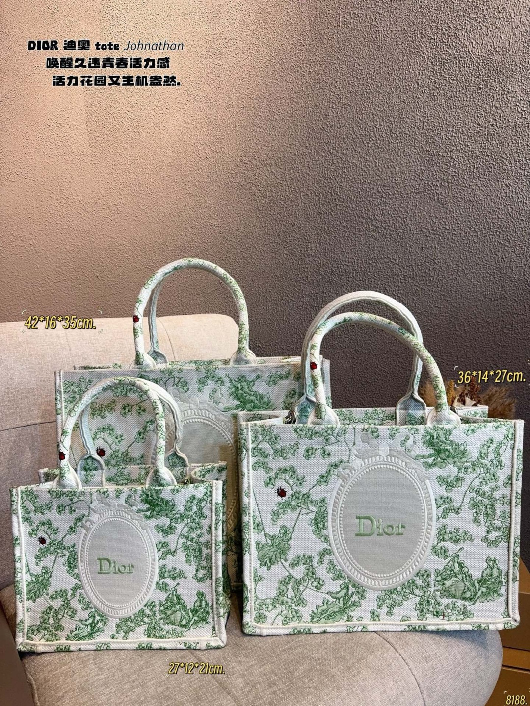 Dior Tote Bag 10521