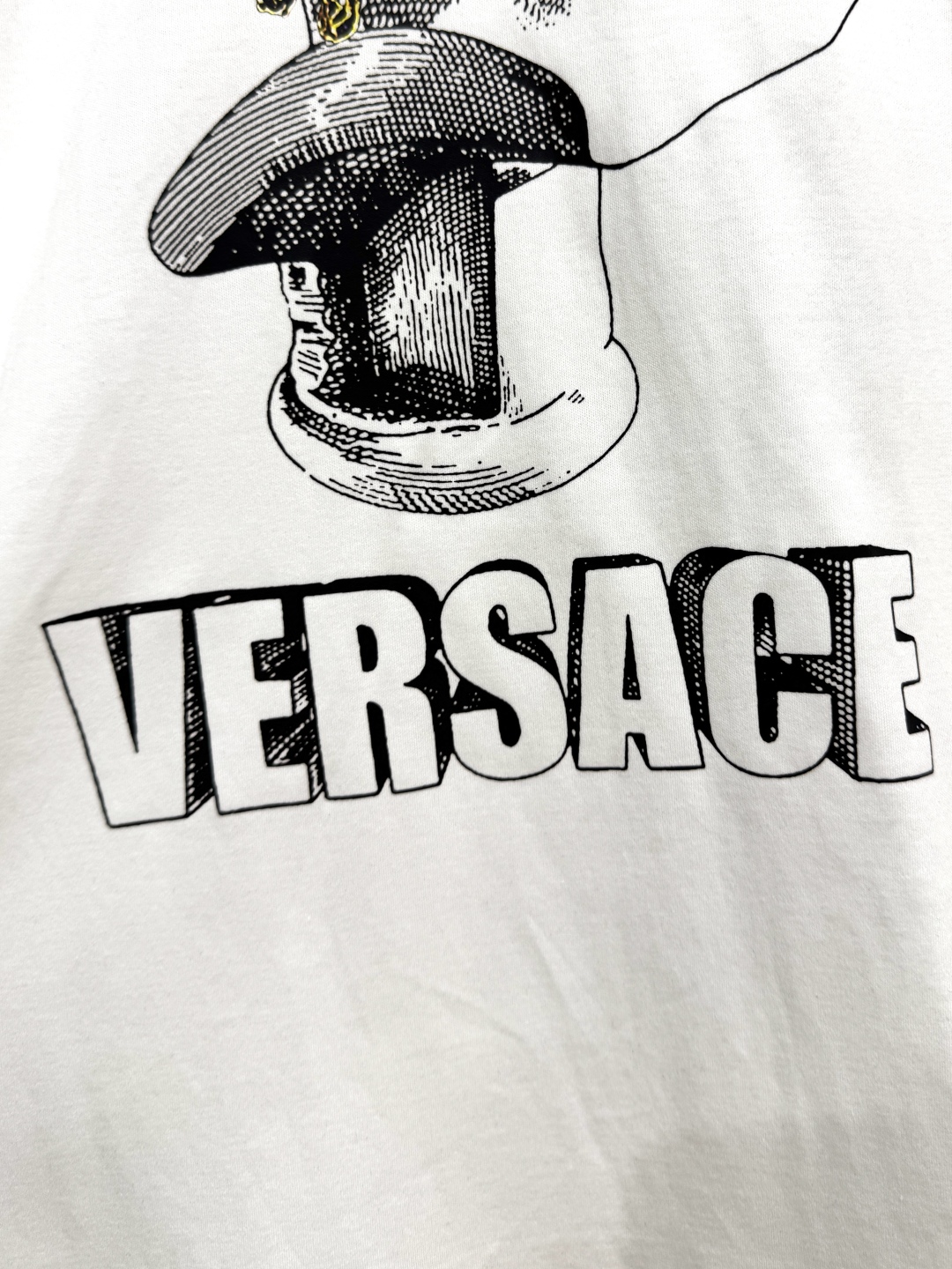 Versace Logo Print Crew Neck Sweatshirt: Autumn/Winter Collection 8 cmp i1760063668829 824 0 6