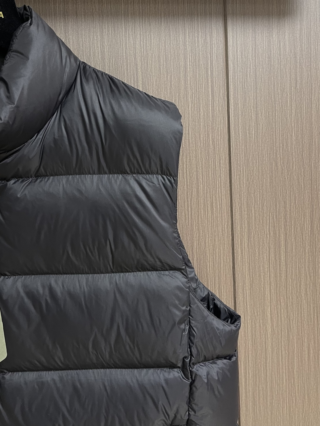 balenciaga 后领徽标LOGO羽绒马甲，技术防撕裂面料：采用了技术防撕裂面料，确保了衣物在滑雪等