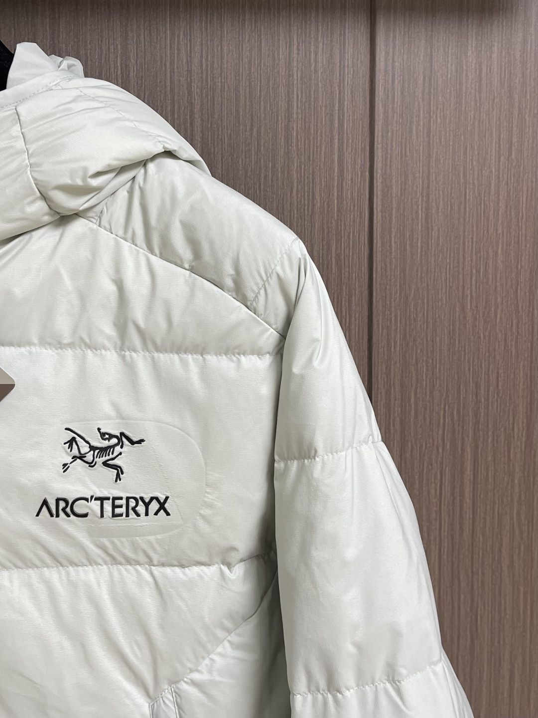 Arcteryx 始祖鸟2026ss新款连帽羽绒服，简约设计，带有品牌标志，适合日常穿搭或轻度户外活动，