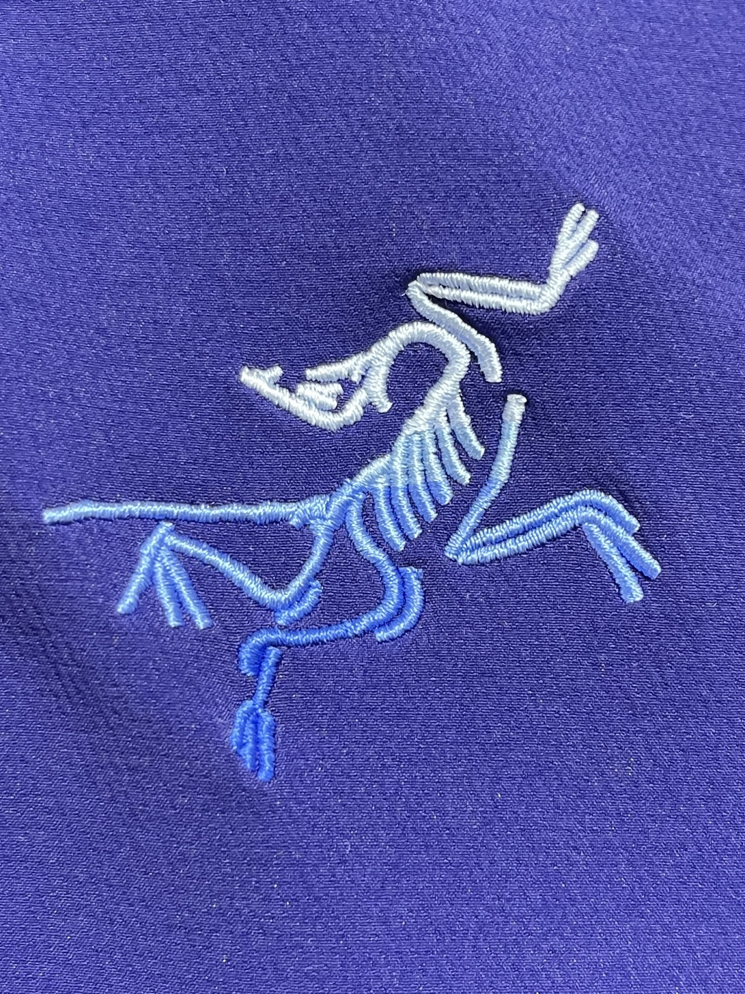 Arcteryx Original Bird x Zonzong Beta SL 3.0 Jacket Review - 图片 5