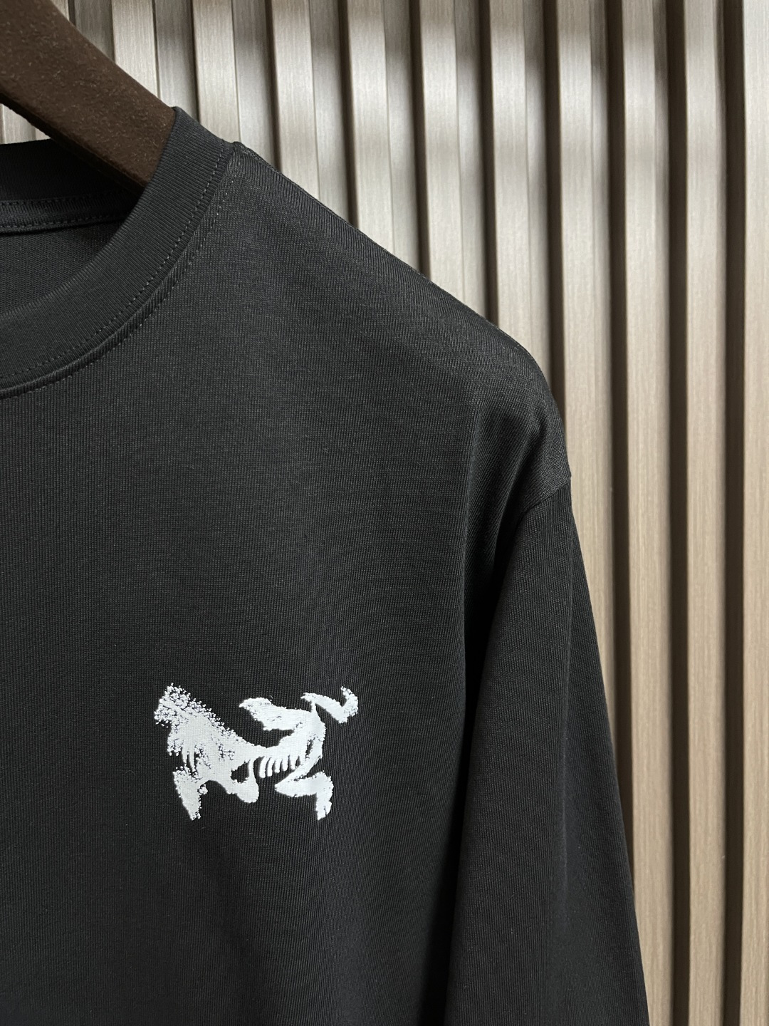🛒🛒arcteryx 始祖鸟 2025ss 早秋宽松机能运动长袖t恤 男女同款，宽松oversize版型