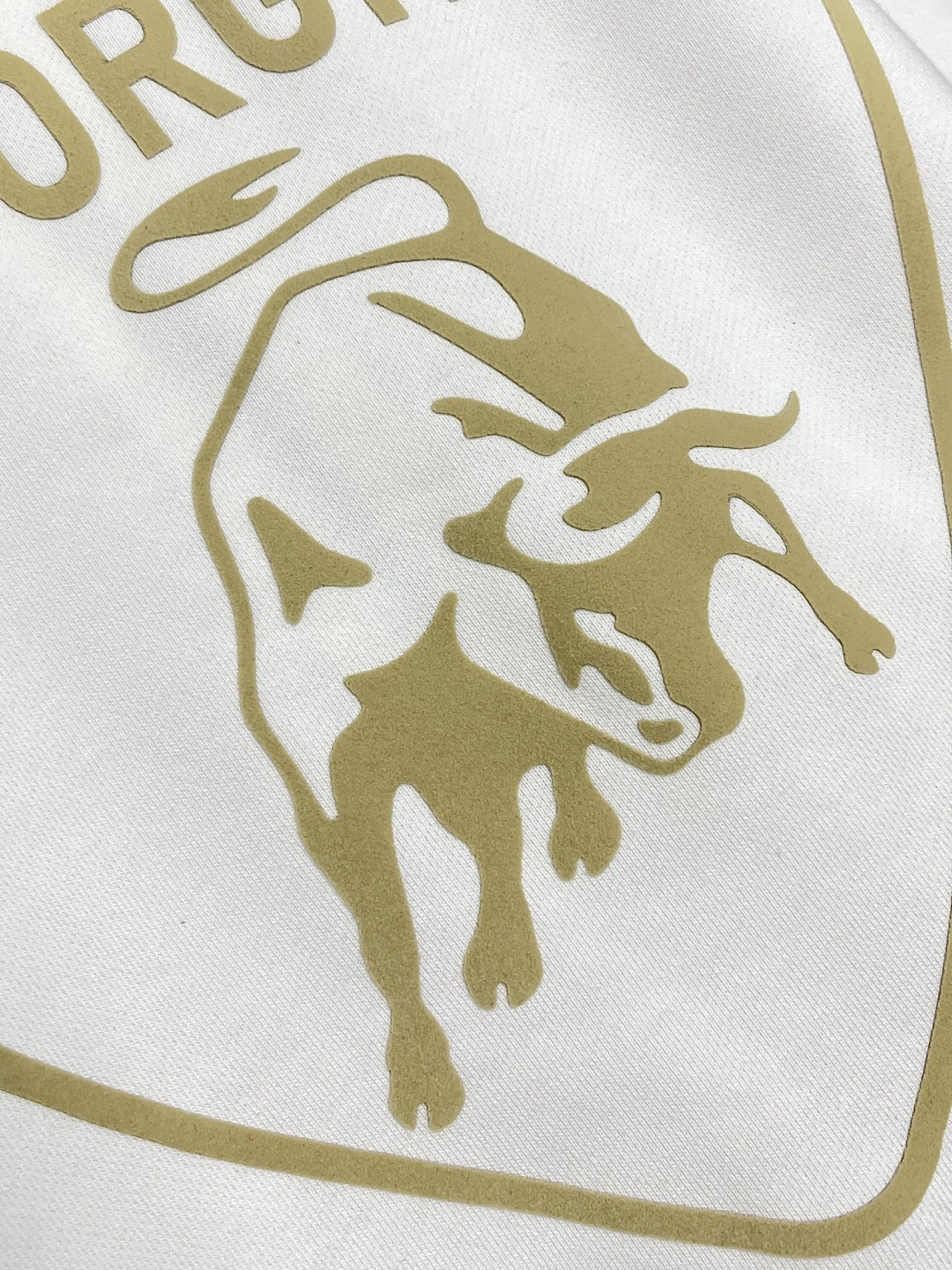 🛒🛒Balenciaga 兰博基尼联名logo标识印花拉链连帽卫衣，配置了高支数翻绒面料面料，卫衣面料高