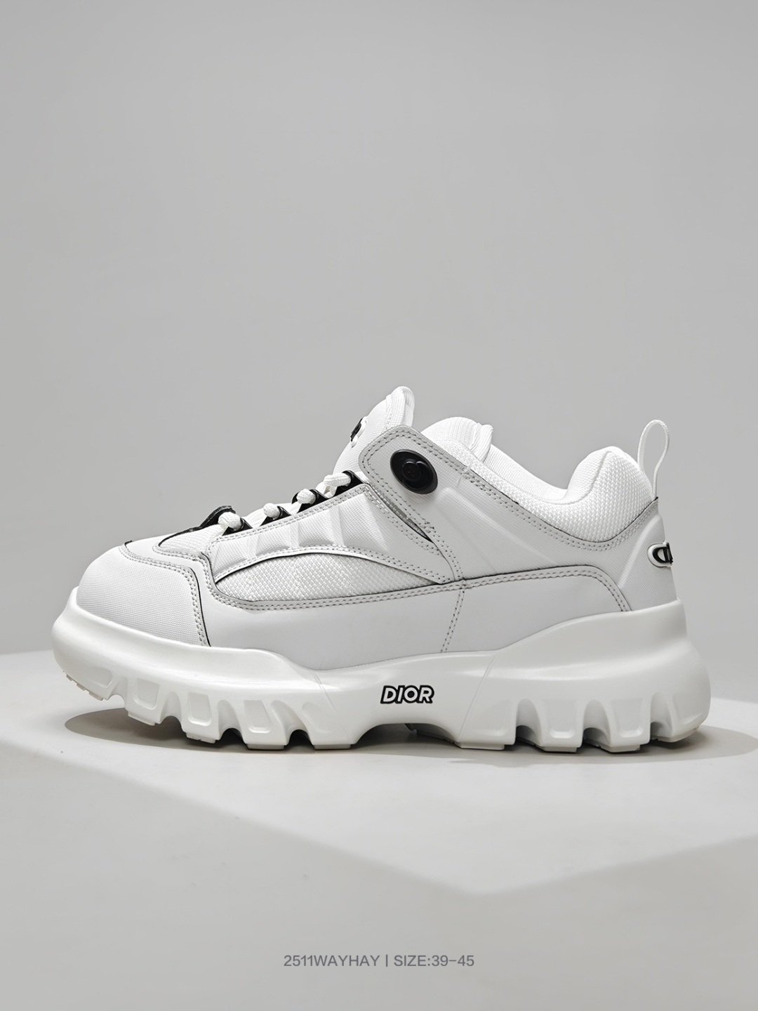 💰170
迪奥DIOR Snow DIOR AND LEWIS HAMILTON Dior 男款独立编号限定版圆头系带低帮生活休闲鞋

码数：39 40 41 42 43 44 45
编号：2511WAYHAY