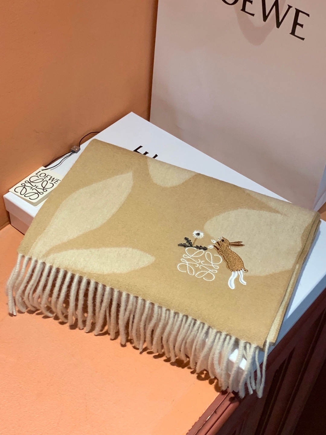 爱马仕新款 这款围巾采用细腻的撞色提花编织，呈现杰夫·麦克菲里奇（Geoff McFetridge）设计