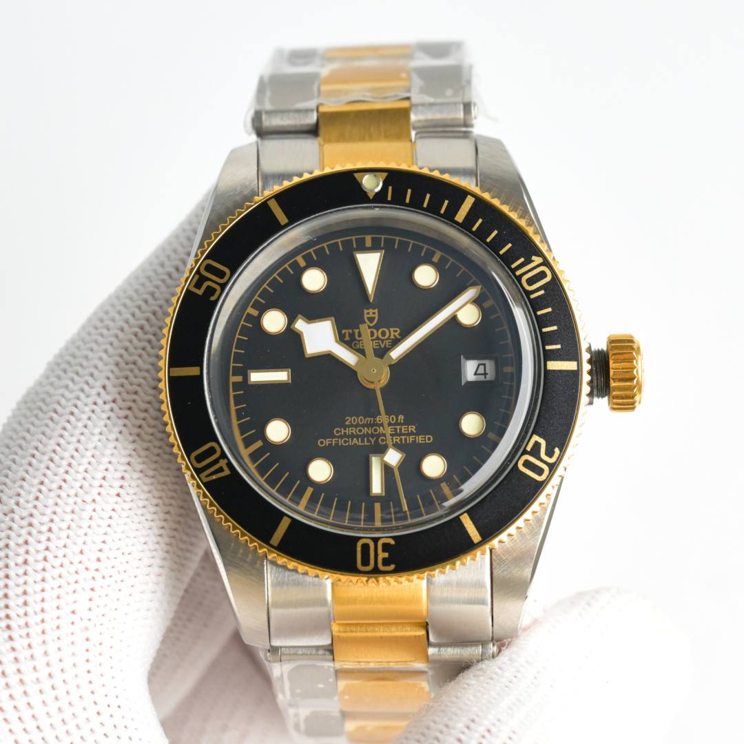 Title: TUDOR Bay Series Upgrade with New Monochrome Bay Launch – Swiss 2824 Core, Stainless Steel, Retro Style. - 图片 2