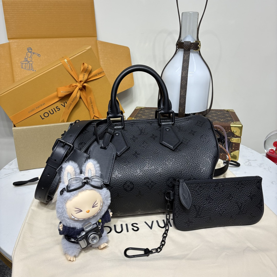 루이비통(버드케이지) M13914 가방 Louis Vuitton Bag