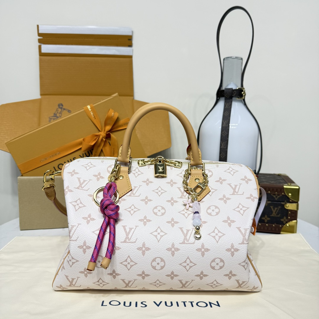 루이비통(버드케이지) 모노그램 M15108 가방 Louis Vuitton Bag
