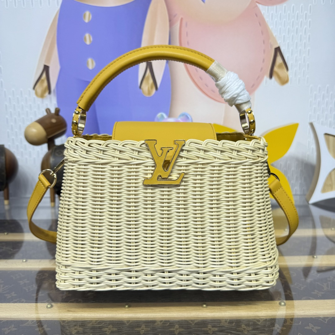 루이비통(버드케이지) M24976 가방 Louis Vuitton Bag