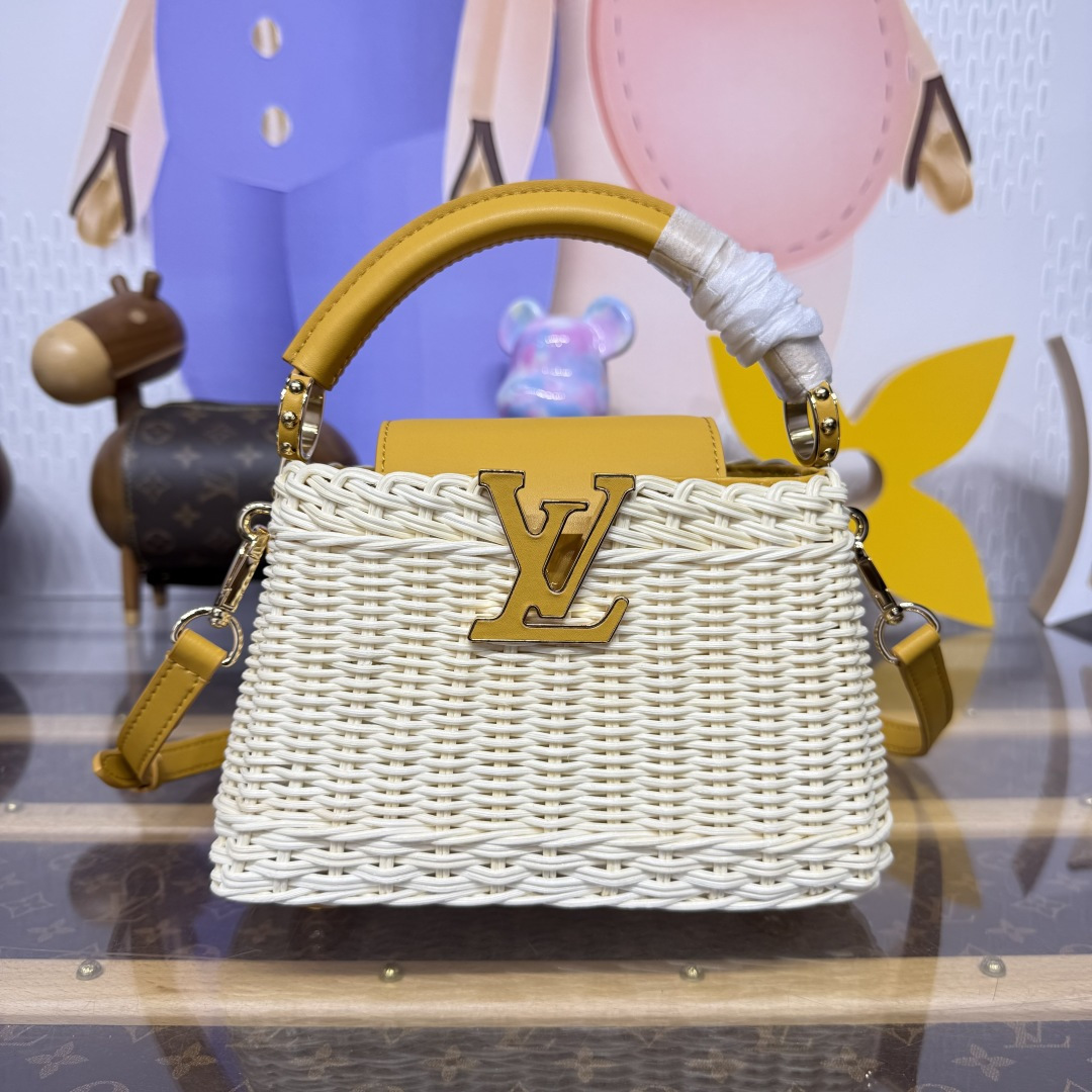 루이비통(버드케이지) M24976 가방 Louis Vuitton Bag