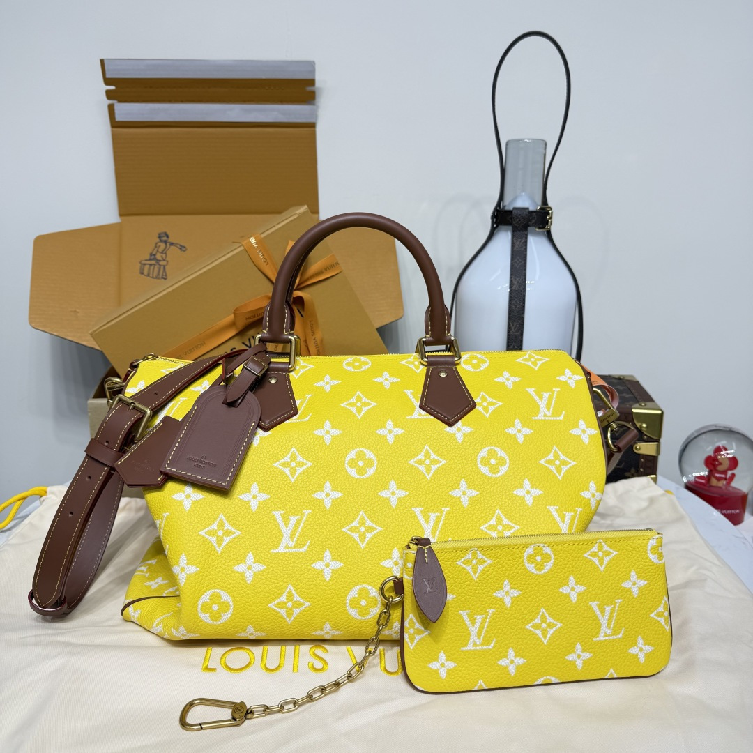 루이비통(버드케이지) M24419 가방 Louis Vuitton Bag
