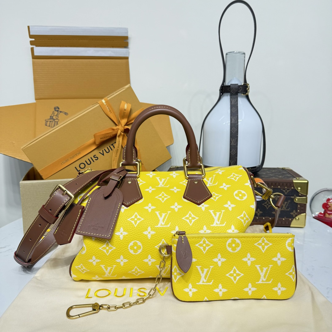 루이비통(버드케이지) M13914 가방 Louis Vuitton Bag