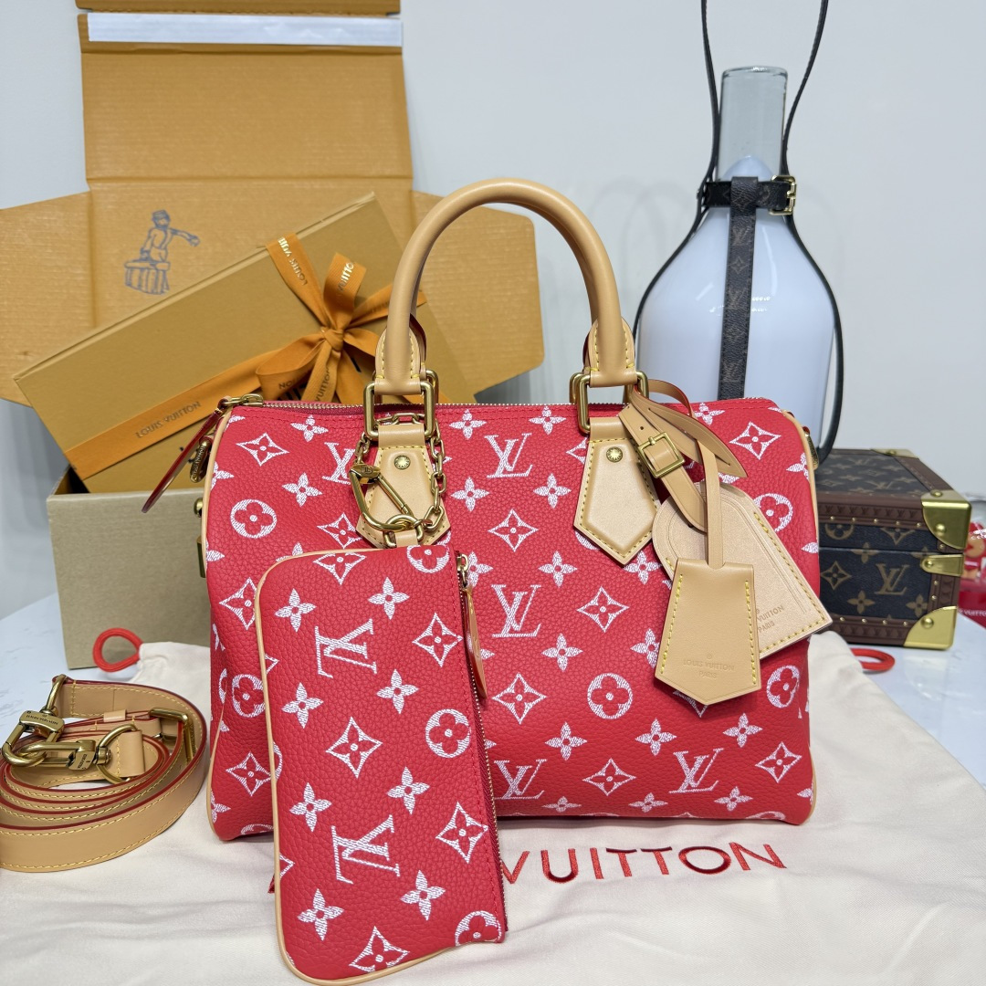 루이비통(버드케이지) M13914 가방 Louis Vuitton Bag