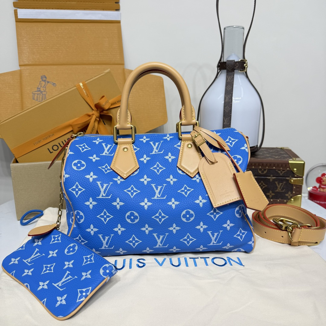 루이비통(버드케이지) M13914 가방 Louis Vuitton Bag