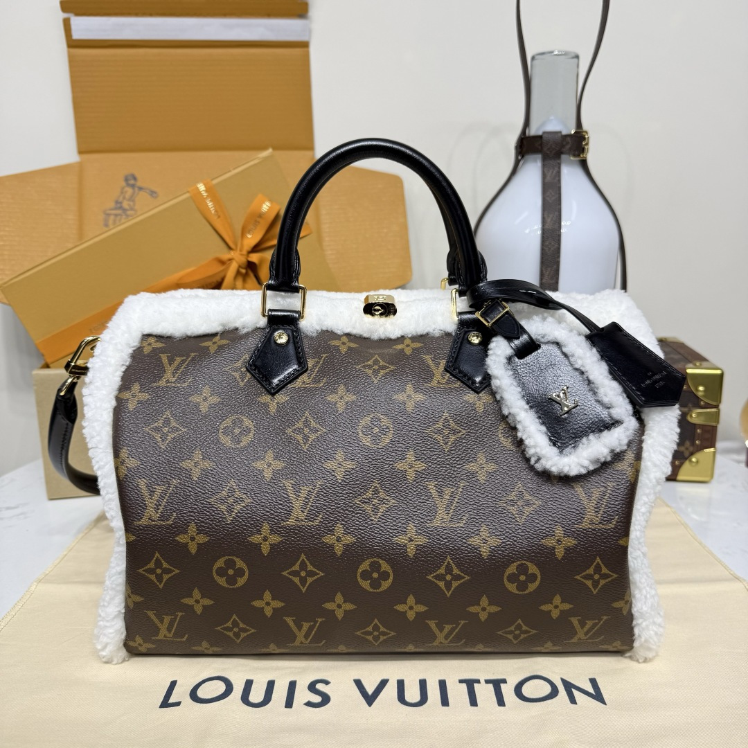 루이비통(버드케이지) M26326 가방 Louis Vuitton Bag