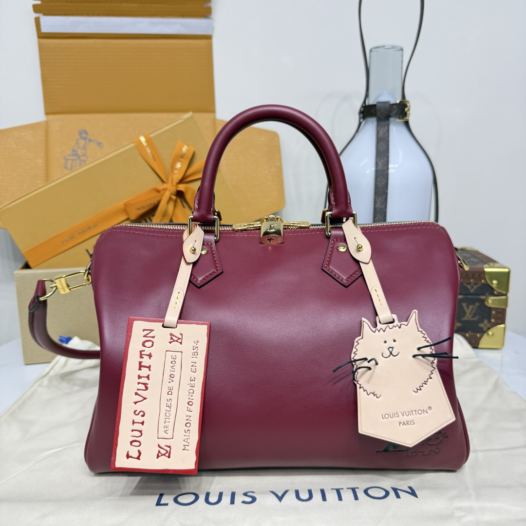 루이비통(버드케이지) M25766 가방 Louis Vuitton Bag