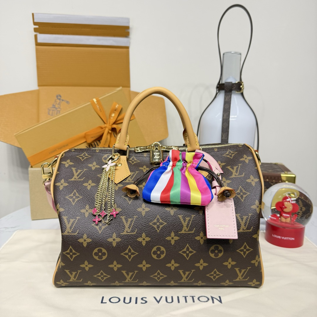루이비통(버드케이지) M26498 가방 Louis Vuitton Bag