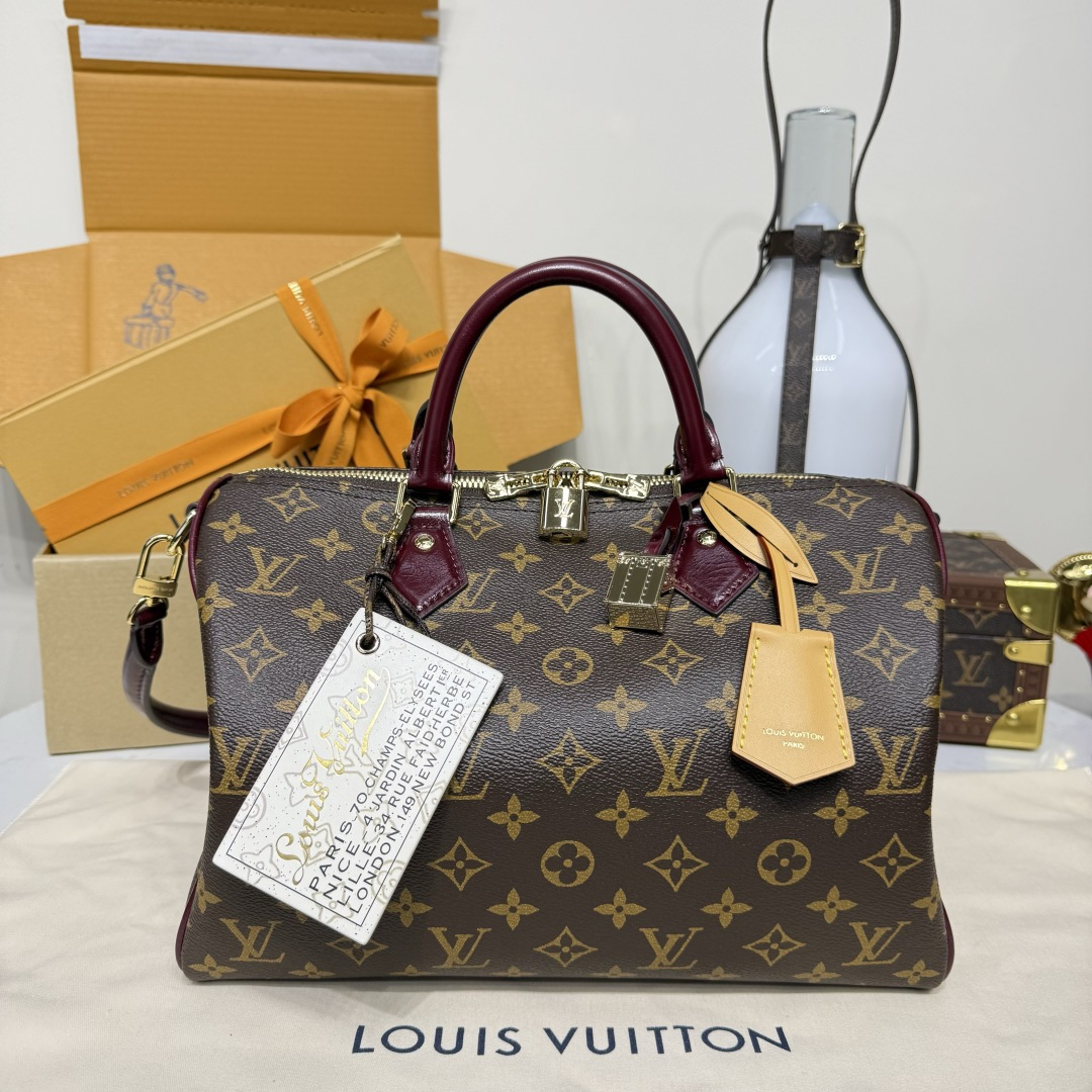 루이비통(버드케이지) 모노그램 M28379 가방 Louis Vuitton Bag