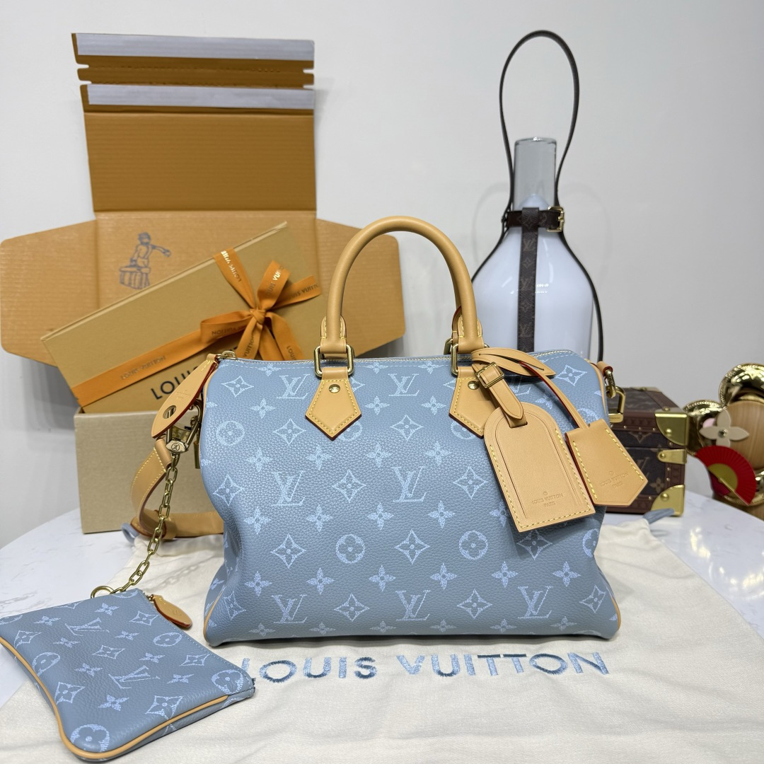루이비통(버드케이지) M13914 가방 Louis Vuitton Bag