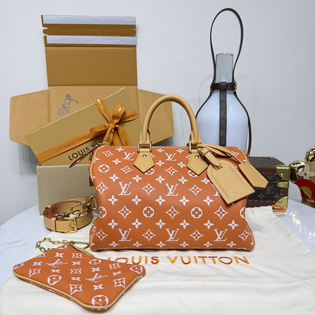 루이비통(버드케이지) 모노그램 M13914 가방 Louis Vuitton Bag